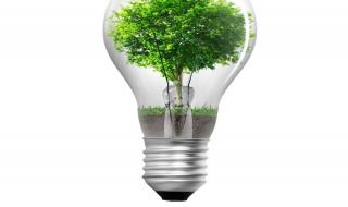 一棵树是什么牌子 一棵树是什么牌子